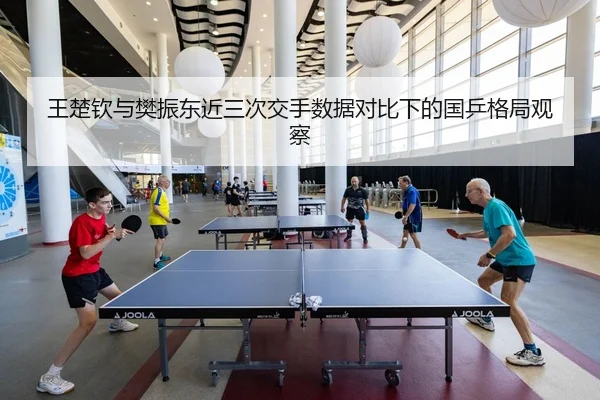 王楚钦与樊振东近三次交手数据对比下的国乒格局观察
